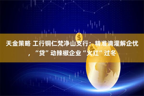 天金策略 工行铜仁梵净山支行：精准滴灌解企忧，“贷”动辣椒企业“火红”过冬
