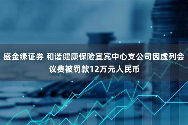 盛金缘证券 和谐健康保险宜宾中心支公司因虚列会议费被罚款12万元人民币