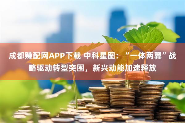 成都赚配网APP下载 中科星图：“一体两翼”战略驱动转型突围，新兴动能加速释放