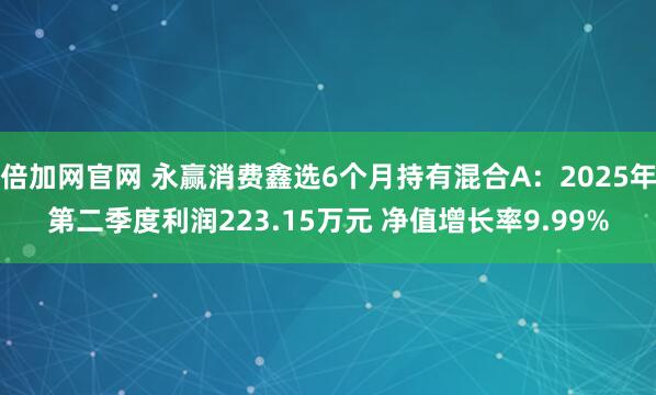 倍加网官网 永赢消费鑫选6个月持有混合A：2025年第二季度利润223.15万元 净值增长率9.99%
