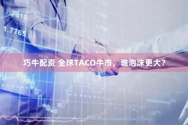 巧牛配资 全球TACO牛市,谁泡沫更大?