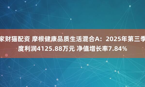 家财猫配资 摩根健康品质生活混合A:2025年第三季度利润4125.88万元 净值增长率7.84%